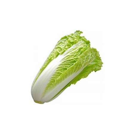 INSALATA MILANO (CICORIA) FRESCA